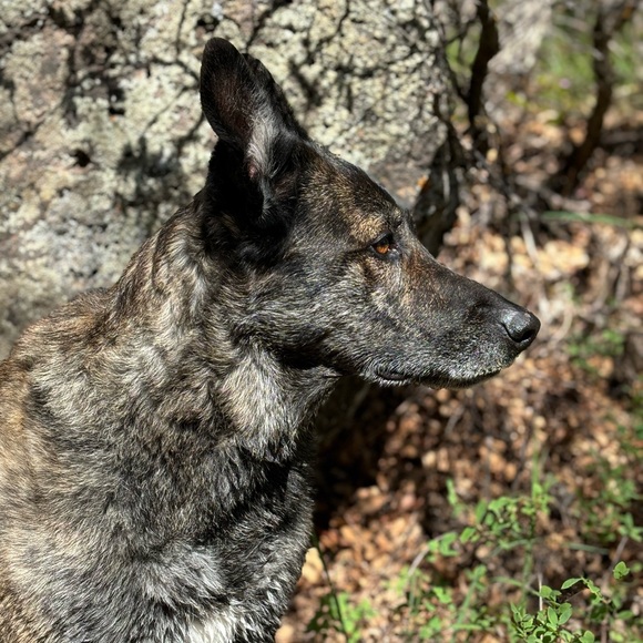 Meet your Posher, Rochelle - Picture 9 of 16